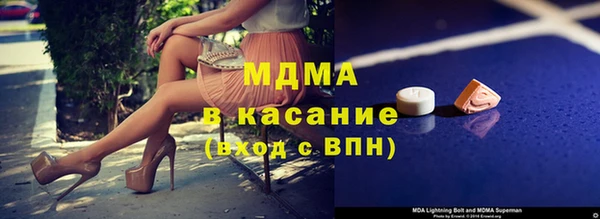индика Аркадак