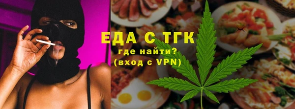 индика Аркадак