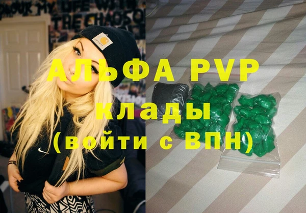индика Аркадак