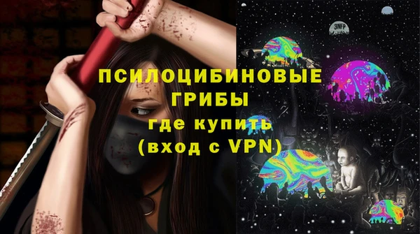 гашик Балахна