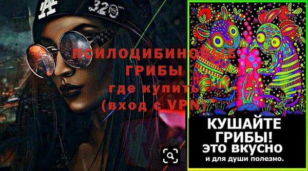 амф Богородицк