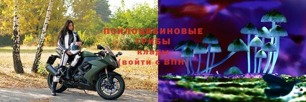 гашик Балахна