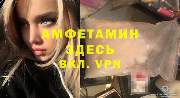 индика Аркадак