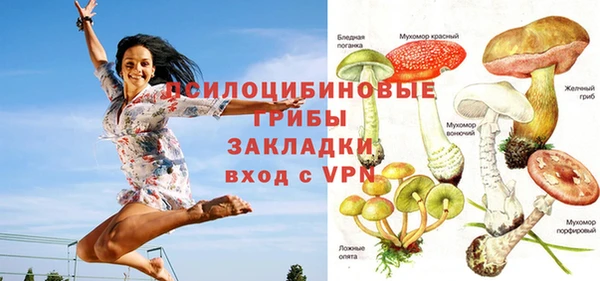 кокаин Богданович