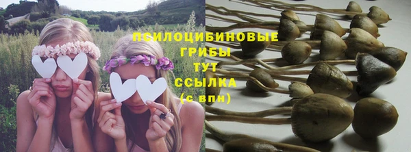 хмурый Алексеевка
