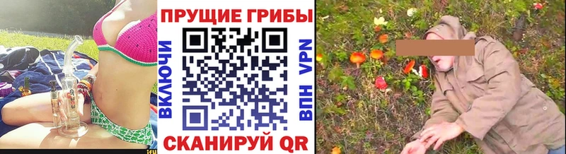 Галлюциногенные грибы Psilocybe  Сенгилей 